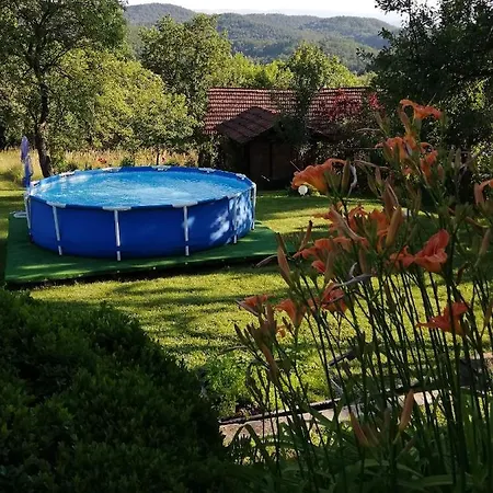 бялата къща / White House ترويان