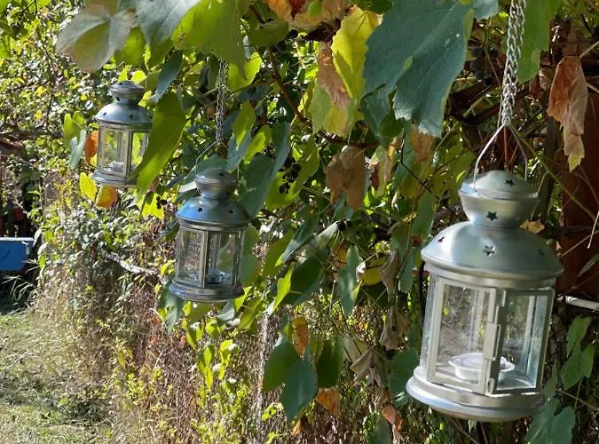 бялата къща / White House